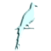 Bird Land